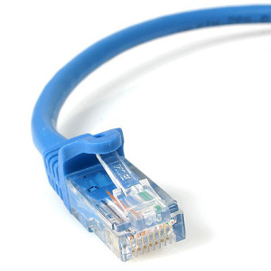 Cat5e Indoor Patch Cable - Blue 3'