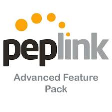 Peplink PrimeCare 4 Year - Balance 310 5G